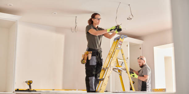 Best Electric Panel Repair  in Lake Cherokee, TX